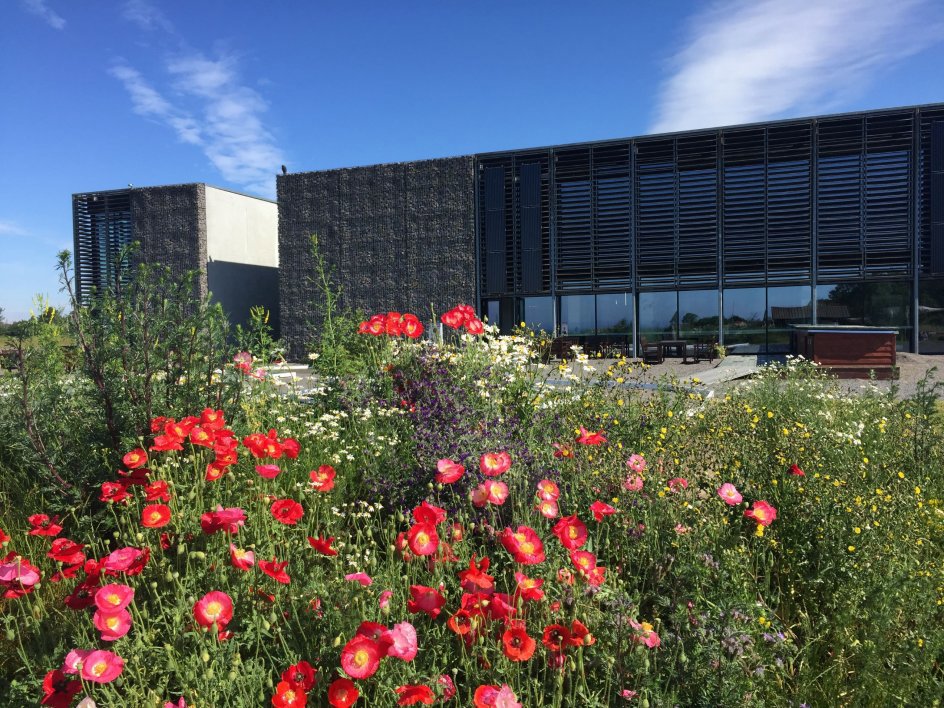 Velkommen til NaturBornholm